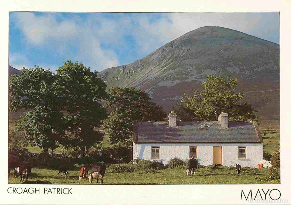 Postcards: Irlande - Mayo - Croagh Patrick - Vaches - CPM - Carte Neuve - Voir Scans Recto-Verso