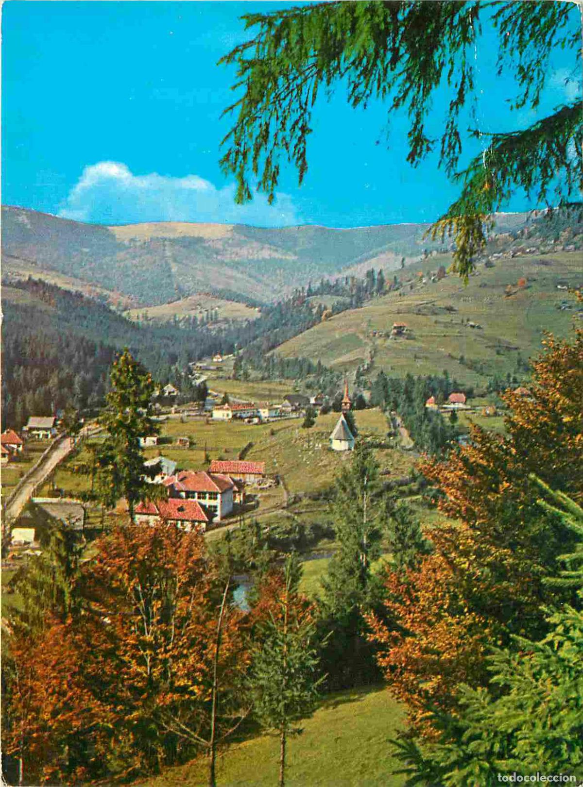 Cartoline: Roumanie - Peisaj in Munti Apuseni - Romania - Rumania - CPM - Voir Scans Recto-Verso