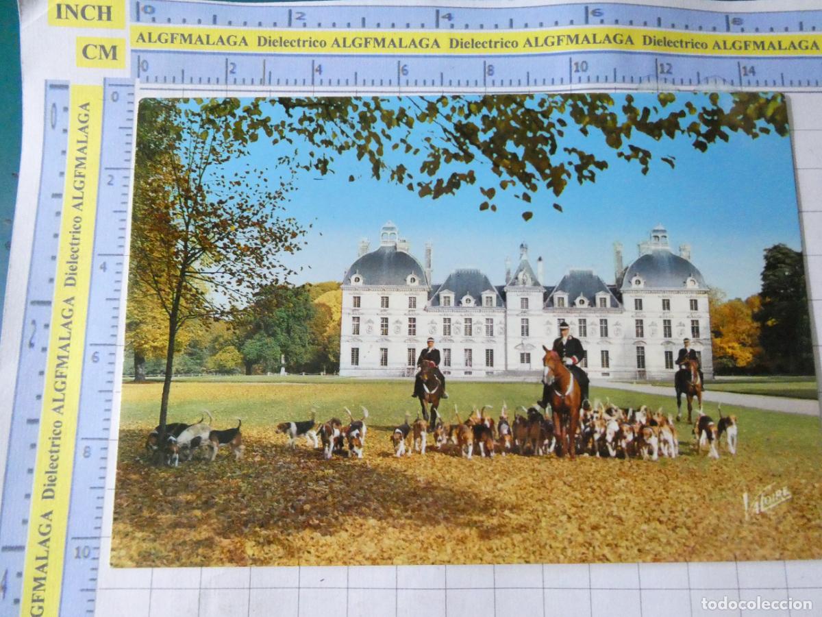 Cartoline: POSTAL DE FRANCIA. LES MERVEILLES DU VAL DE LOIRE CHEVERNY. PERROS. 3649