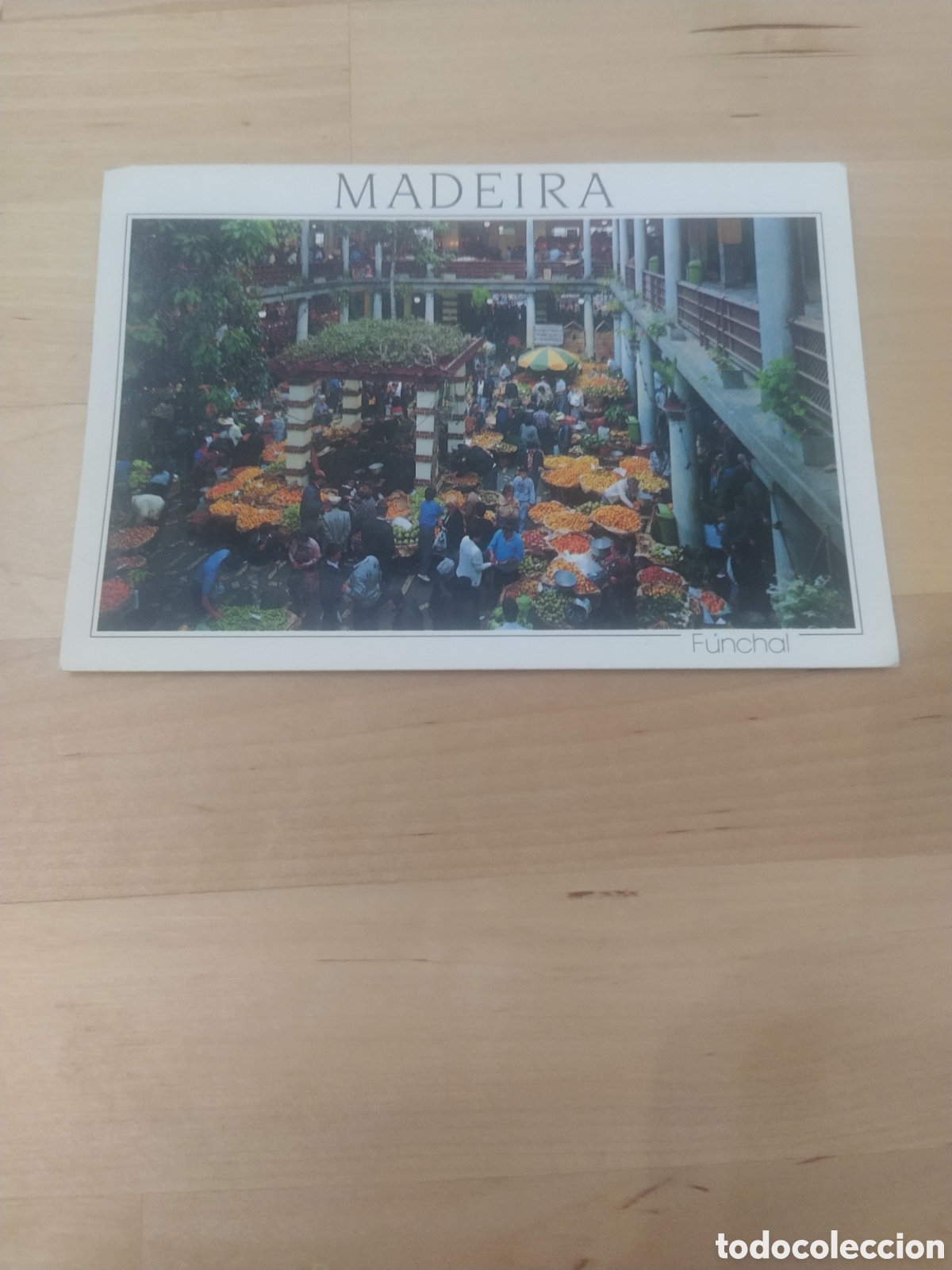 Postales: POSTAL MADEIRA, PORTUGAL