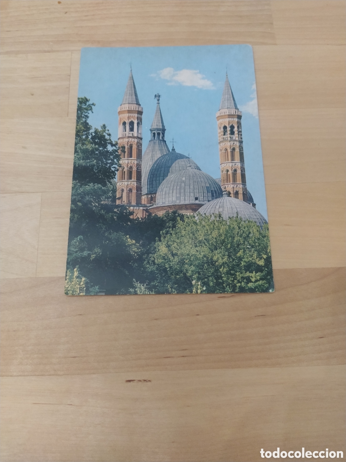 Cartes Postales: POSTAL PADUA, ITALIA - BAS&Iacute;LICA DEL SANTO VISTA DESDE PONTECARVO