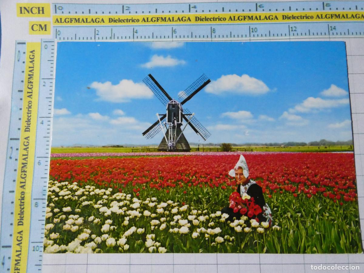 Postkarten: POSTAL DE HOLANDA PAISES BAJOS. MUJER FLORES MOLINO. 209