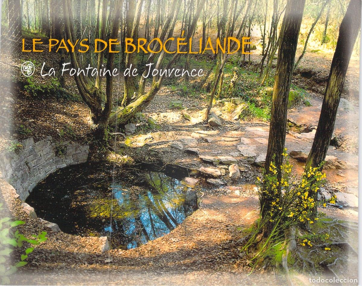 Cartes Postales: Postal Bosque de Brocelianda | La Fuente de Juvencia | Leyendas Art&uacute;ricas