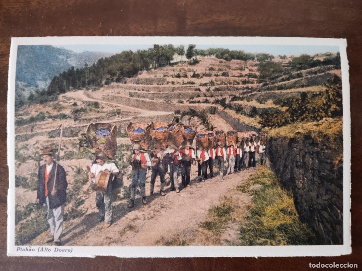 Cartoline: Pinhao, Alto Douro, Fauna Alegre do transporte das uvas vindimadas. Tabaccaria Africana, Porto