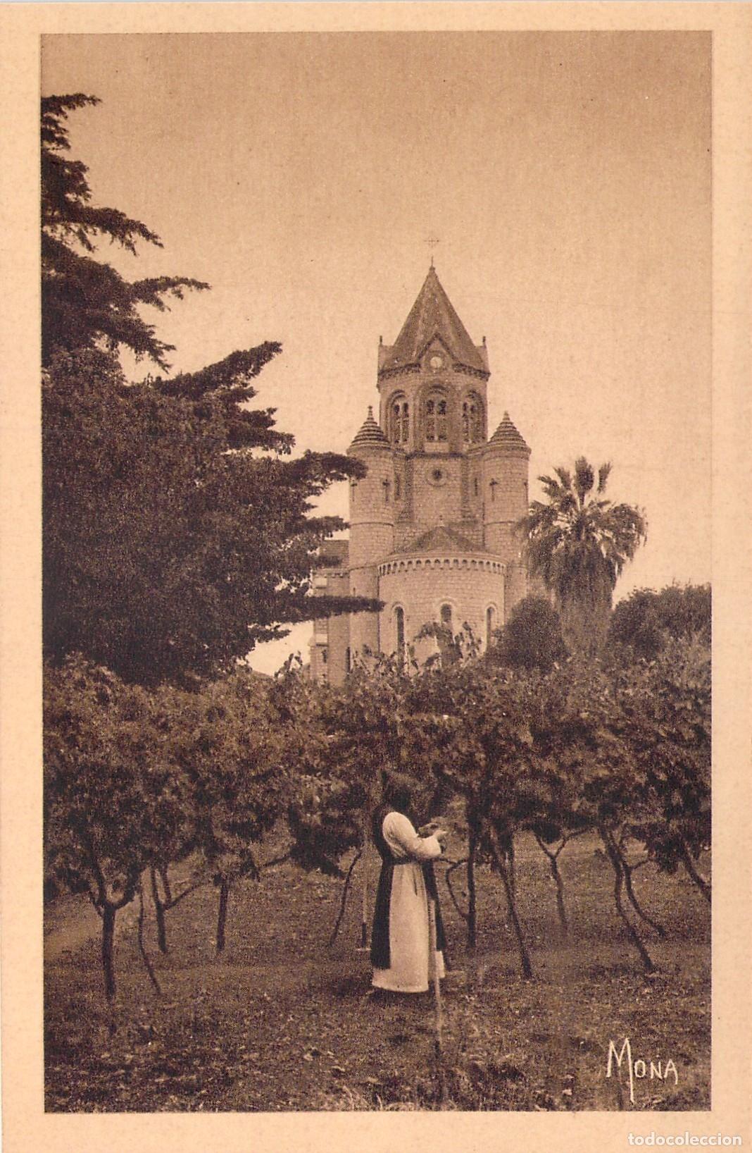 Cartoline: Postal &Icirc;le Saint-Honorat, Francia: &Aacute;bside de la Iglesia Abacial y Vi&ntilde;edo