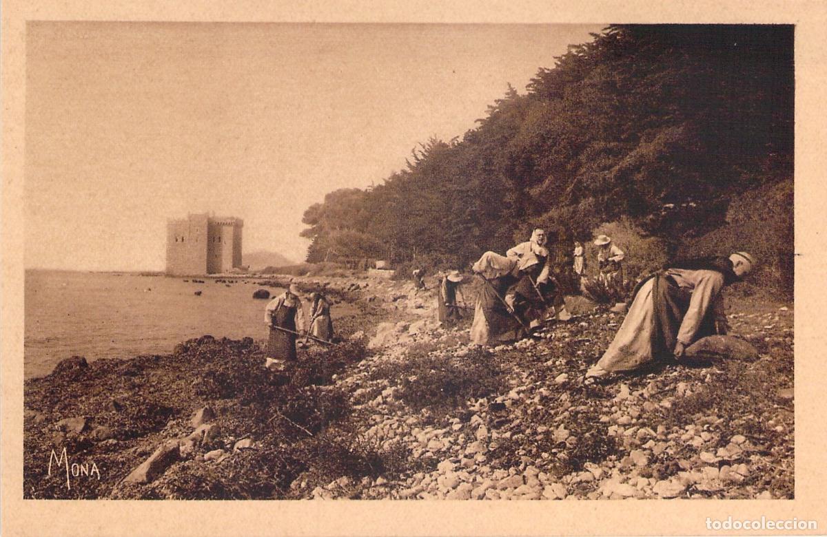 Postais: Postal &Icirc;le Saint-Honorat, Monjes Trabajando junto a la Torre Fortificada
