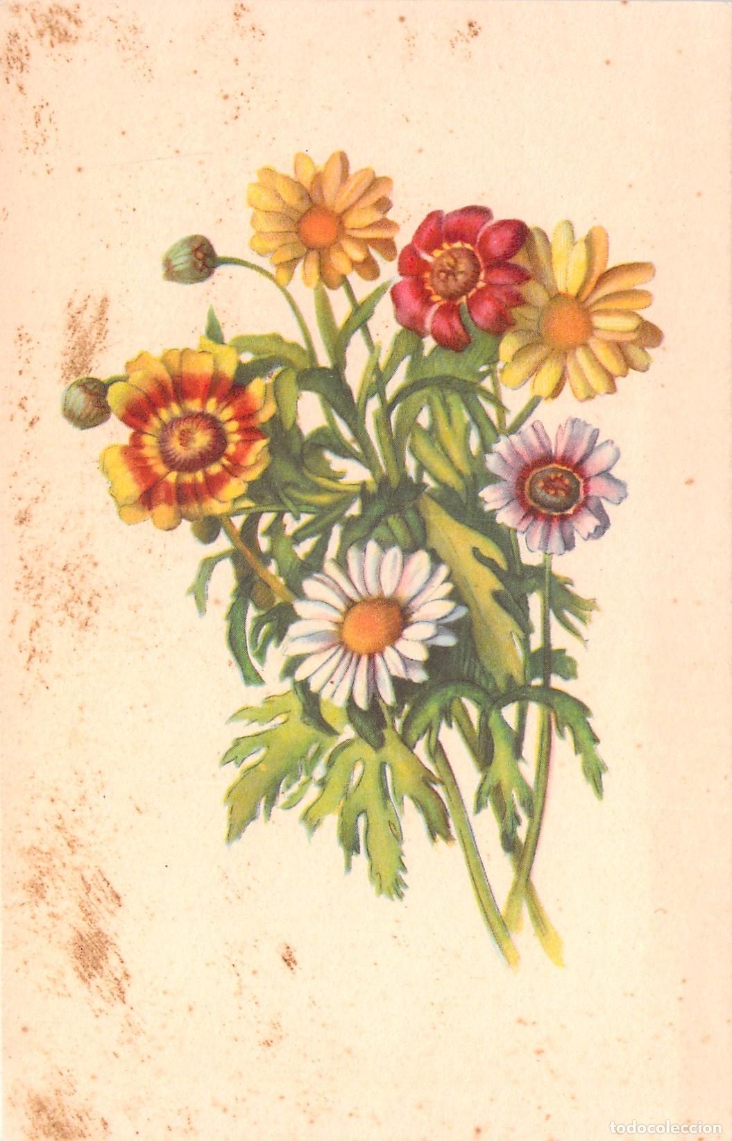 Postais: Postal Italiana - Ramo de Flores de Colores - Ilustraci&oacute;n Bot&aacute;nica, Italia