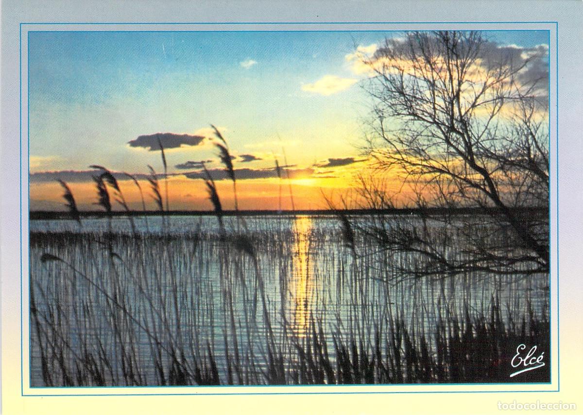 Postais: Postal Paisaje Franc&eacute;s de Atardecer sobre el Agua con Ca&ntilde;as, Fotograf&iacute;a Color