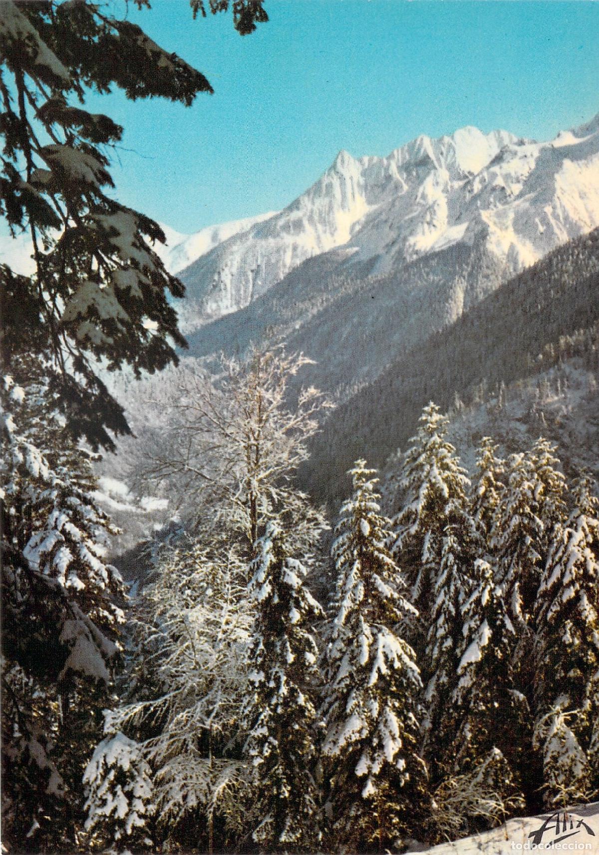 Cartes Postales: Postal Pirineos Franceses Invierno Nieve Bosque Monta&ntilde;as Superbagn&egrave;res