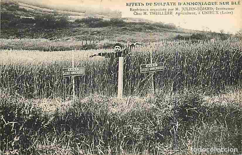 Cartoline: France - 42 - Unieux - Effets du Sulfate d'Ammoniaque sur Bl&eacute; - Anim&eacute;e - CPA - Voir Scans Recto-Vers