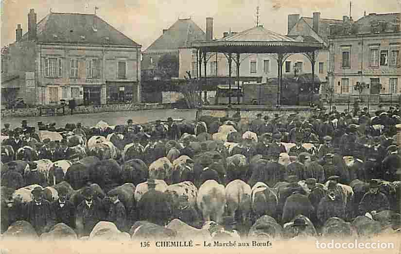 Postales: France - 49 - Chemill&eacute; - Le March&eacute; aux Boeufs - Anim&eacute;e - CPA - Voir Scans Recto-Verso
