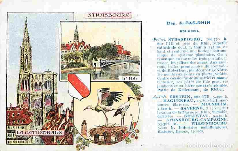 Cartoline: France - 67 - Bas Rhin - La France qu'il faut connaitre - Multivues - CPA - Voir Scans Recto-Verso