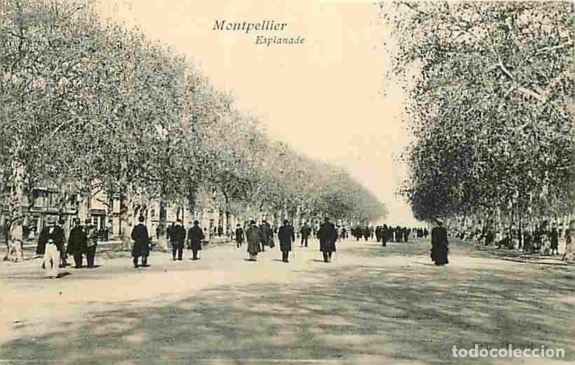 Postales: France - 34 - Montpellier - Esplanade - Anim&eacute;e - CPA - Voir Scans Recto-Verso