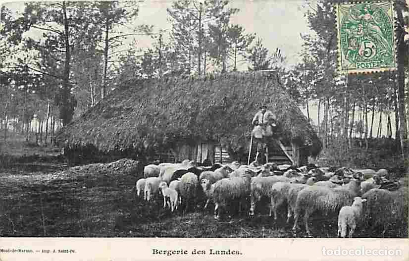 Postales: France - 40 - Landes - Bergerie des Landes - Anim&eacute;e - Moutons - Berger - Etat Carte Abim&eacute; en haut au