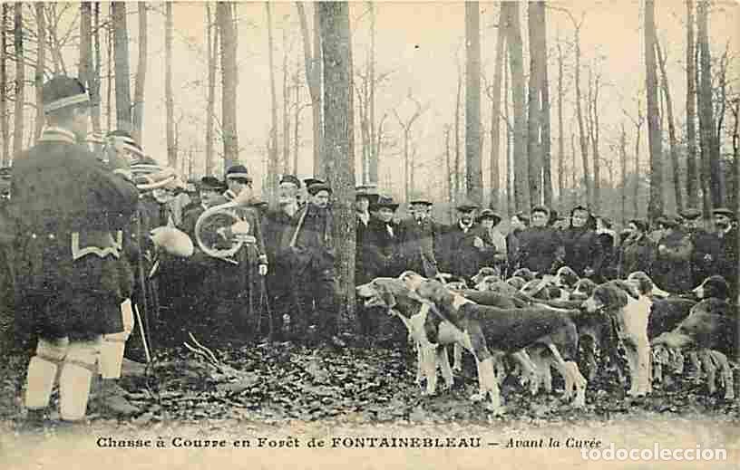 Postcards: France - 77 - Fontainebleau - Chasse &agrave; Courre en Foret de Fontainebleau - Avant la Cur&eacute;e - Anim&eacute;e -