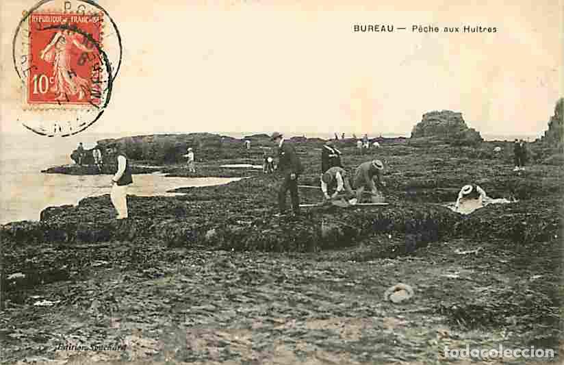 Postkarten: France - 17 - Bureau - Peche aux Huitres - Anim&eacute;e - CPA - Voir Scans Recto-Verso