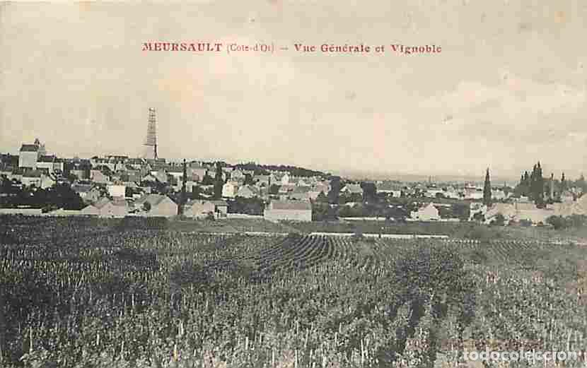 Postkarten: France - 21 - Meursault - Vue G&eacute;n&eacute;rale et Vignoble - Vignes - CPA - Voir Scans Recto-Verso