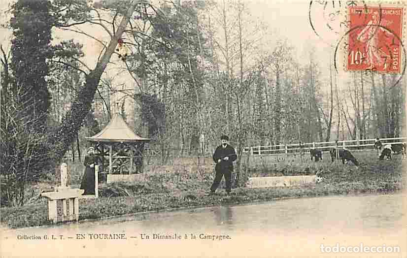 Postkarten: France - 37 - Indre et Loire - En Touraine - Un Dimanche &agrave; la Campagne - Anim&eacute;e - Vaches - CPA - Voi