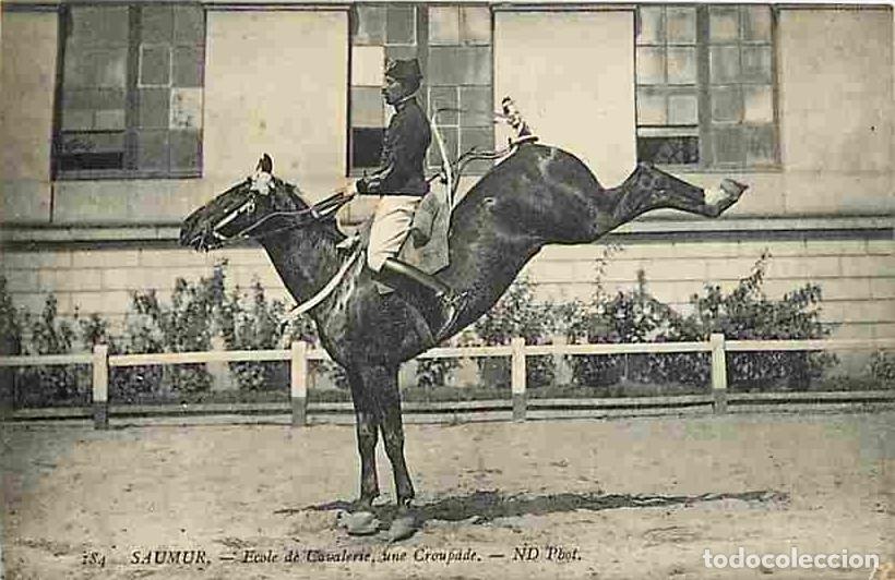 Cartoline: France - 49 - Saumur - Ecole de Cavalerie - Une Croupade - Anim&eacute;e - Chevaux - CPA - Voir Scans Recto