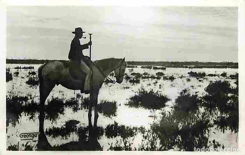 Postales: France - 13 - Bouche du Rhone - En Camargue - Dans le Marais au Soleil Couchant - Anim&eacute;e - Gardians