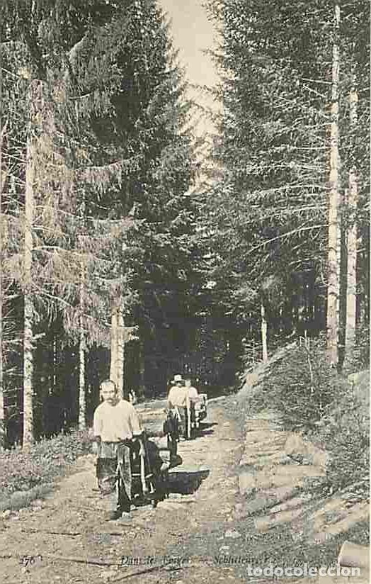 Postkarten: France - 88 - Vosges - Dans les Vosges - Schluteurs - Anim&eacute;e - CPA - Voir Scans Recto-Verso
