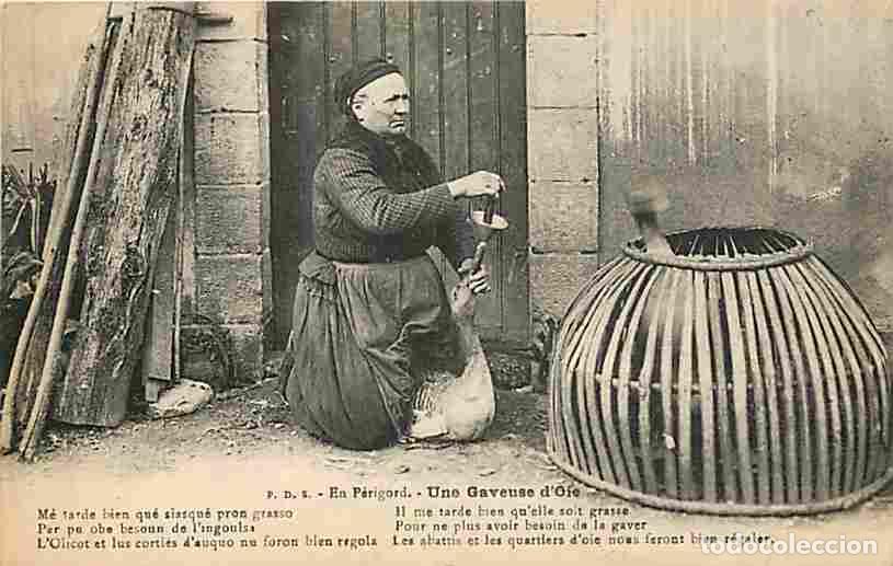 Postales: France - 24 - Dordogne - P&eacute;rigord - Une Gaveuse d'Oie - Anim&eacute;e - Folklore - CPA - Voir Scans Recto-V