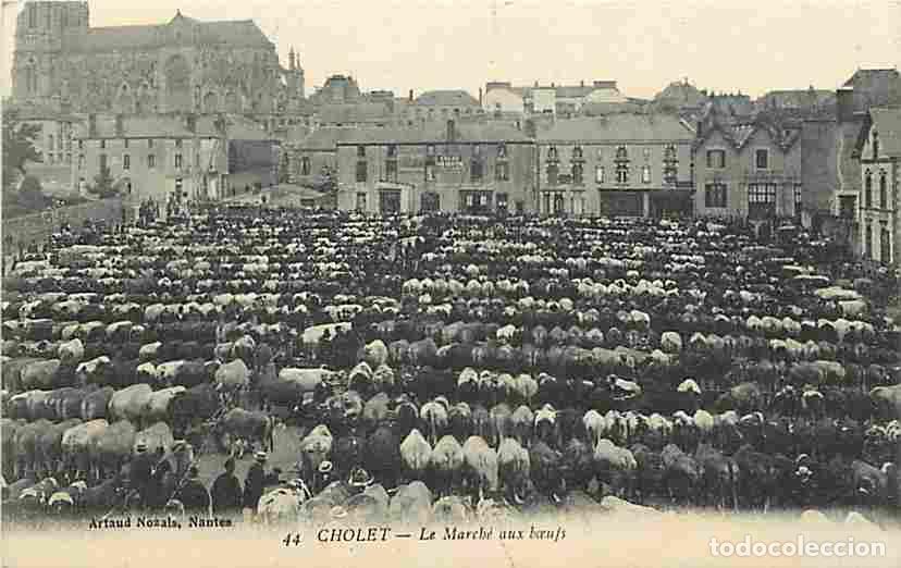 Cartes Postales: France - 49 - Cholet - Le March&eacute; aux Boeufs - Anim&eacute;e - CPA - Voir Scans Recto-Verso