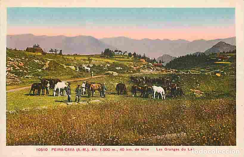 Cartoline: France - 06 - Peira Cava - Les Granges du Lac - Anim&eacute;e - Coloris&eacute;e - CPA - Voir Scans Recto-Verso