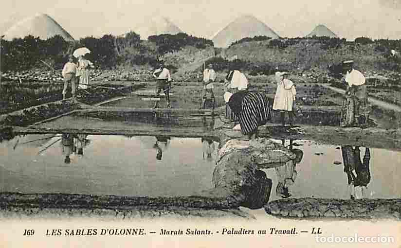 Postales: France - 85 - Les Sables d'Olonne - Marais Salants - Paludiers au Travail - Anim&eacute;e - CPA - Voir Scan