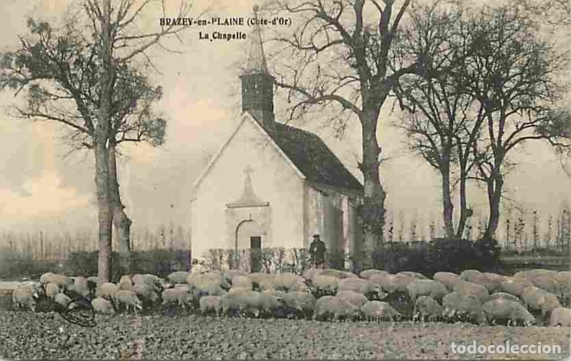 Postcards: France - 21 - Brazey en Plaine - La Chapelle - Anim&eacute;e - Moutons - Berger - CPA - Voir Scans Recto-Ve