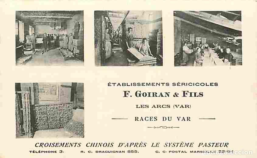 Postais: France - 83 - Les Arcs - Etablissements S&eacute;ricoles F Goiran et Fils - Races du Var - Anim&eacute;e - CPA - V
