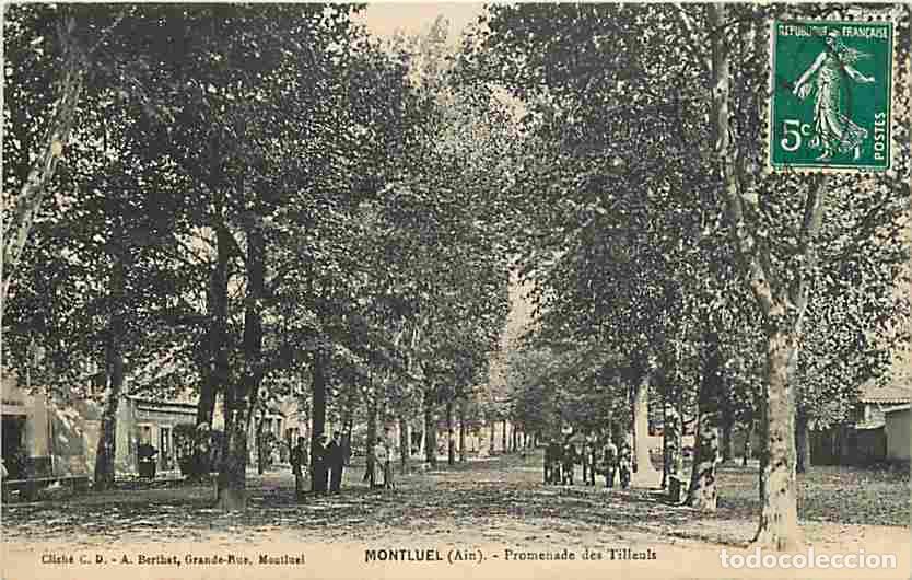 Postales: France - 01 - Montluel - Promenade des Tilleuls - Anim&eacute;e - CPA - Voir Scans Recto-Verso