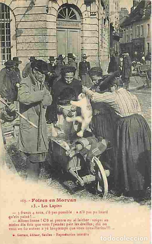 Postais: France - 58 - Ni&egrave;vre - Foires en Morvan - Les Lapins - Anim&eacute;e - CPA - Voir Scans Recto-Verso
