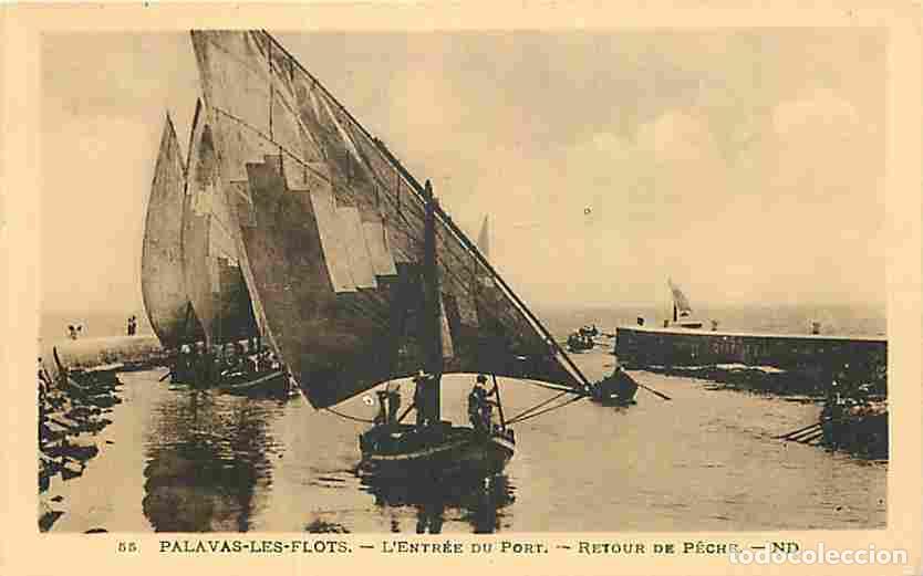 Postais: France - 34 - Palavas les Flots - L'entr&eacute;e du Port - Retour de Peche - Anim&eacute;e - Bateaux - Voiliers -