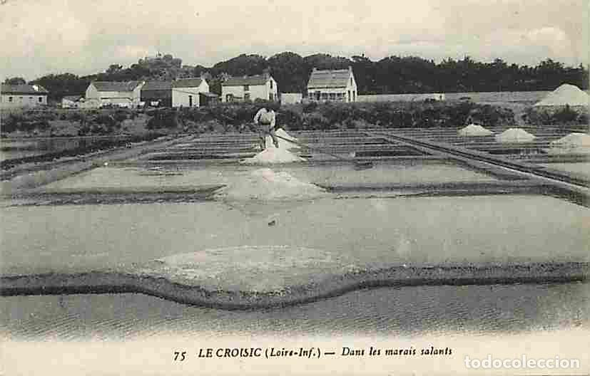 Postais: France - 44 - Le Croisic - Dans les marais salants - Anim&eacute;e - CPA - Voir Scans Recto-Verso