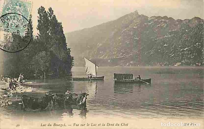 Postais: France - 73 - Lac du Bourget - Vue sur le Lac et la Dent du Chat - Anim&eacute;e - Vaches - Paysans - Voile