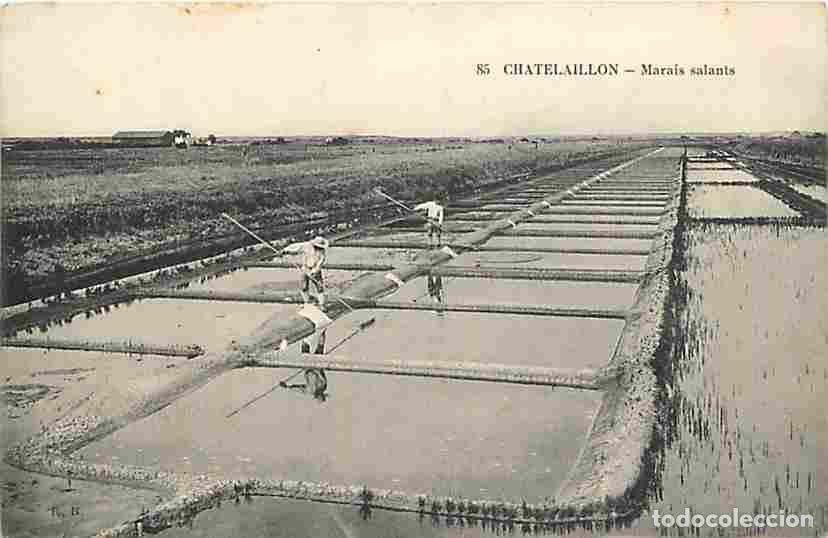 Cartes Postales: France - 17 - Chatelaillon - Marais salants - Anim&eacute;e - CPA - Voir Scans Recto-Verso