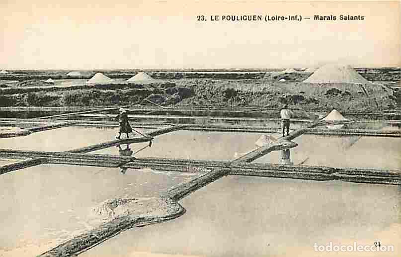Postais: France - 44 - Le Pouliguen - Marais Salants - Anim&eacute;e - CPA - Voir Scans Recto-Verso
