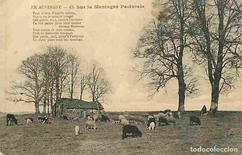 Postais: France - 63 - Puy de Dome - En Auvergne - Sur la Montagne Pastorale - Anim&eacute;e - Moutons - Berger - CP