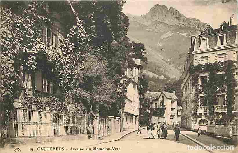 Postais: France - 65 - Cauterets - Avenue du Mamelon Vert - Anim&eacute;e - CPA - Voir Scans Recto-Verso