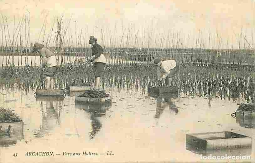 Postales: France - 33 - Arcachon - Parc aux Huitres - Anim&eacute;e - Ostr&eacute;iculture - CPA - Oblit&eacute;ration ronde de 190