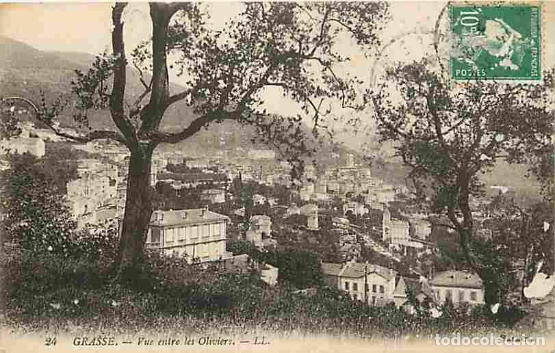 Postkarten: France - 06 - Grasse - Vue entre les Oliviers - CPA - Voir Scans Recto-Verso