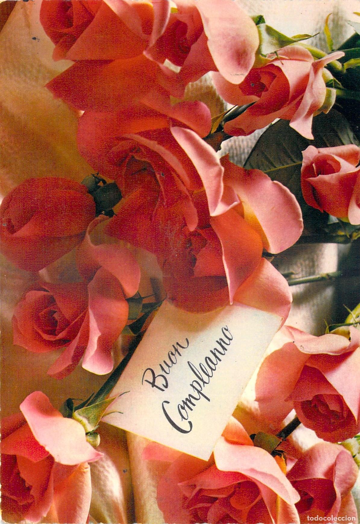 Postais: Postal Italiana de Rosas Salm&oacute;n, Tarjeta de Felicitaci&oacute;n de Cumplea&ntilde;os