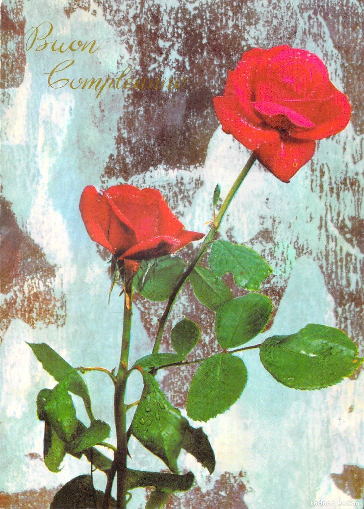Cartoline: Postal Italiana Rosas Rojas &rdquo;Buon Compleanno&rdquo; Floral Arte Tarjeta