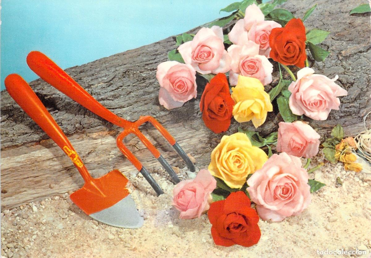 Postales: Postal de Rosas de Colores y Herramientas de Jardiner&iacute;a sobre Tronco, Italia.