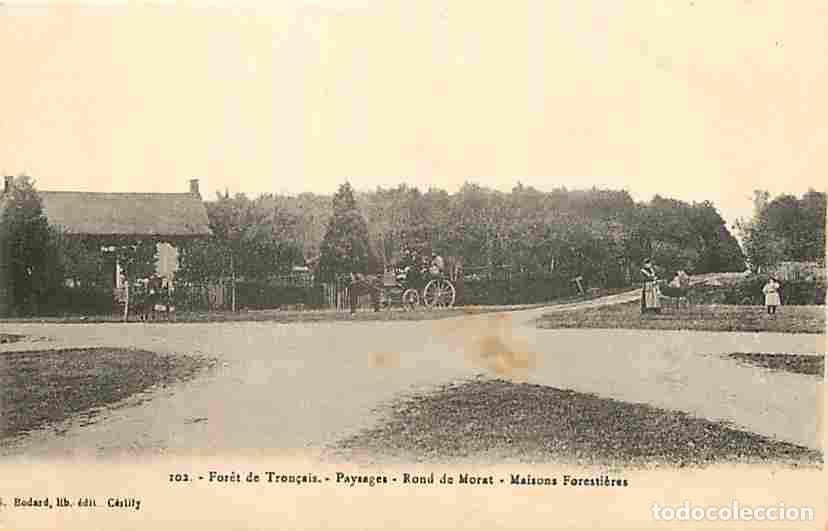 Postales: France - 03 - Saint Bonnet Tron&ccedil;ais - Foret de Tron&ccedil;ais - Paysages - Rond de Morat - Maisons Foresti