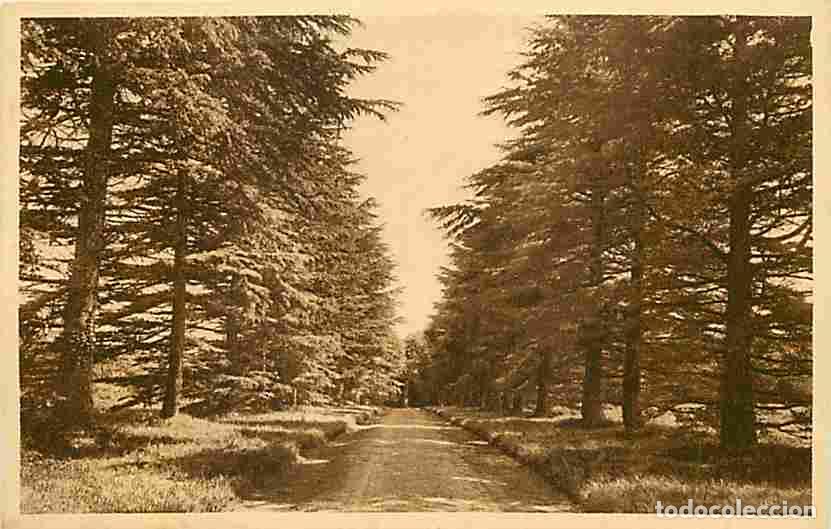 Postales: France - 86 - Poitiers - Coll&egrave;ge Saint-Joseph - La Cossonni&egrave;re - Entr&eacute;e - Carte Neuve - CPA - Voir S