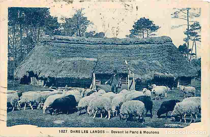 Postales: France - 40 - Landes - Dans les Landes - Devant le parc &agrave; Moutons - Anim&eacute;e - Berger - Oblit&eacute;ration r