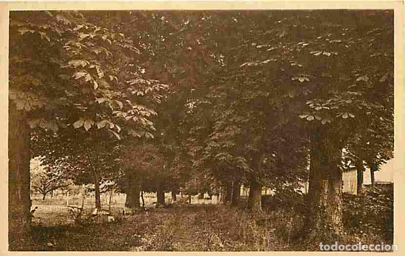 Cartoline: France - 86 - Poitiers - Coll&egrave;ge Saint-Joseph - La prairie - All&eacute;e d&eacute;s maronniers - Carte Neuve - CP