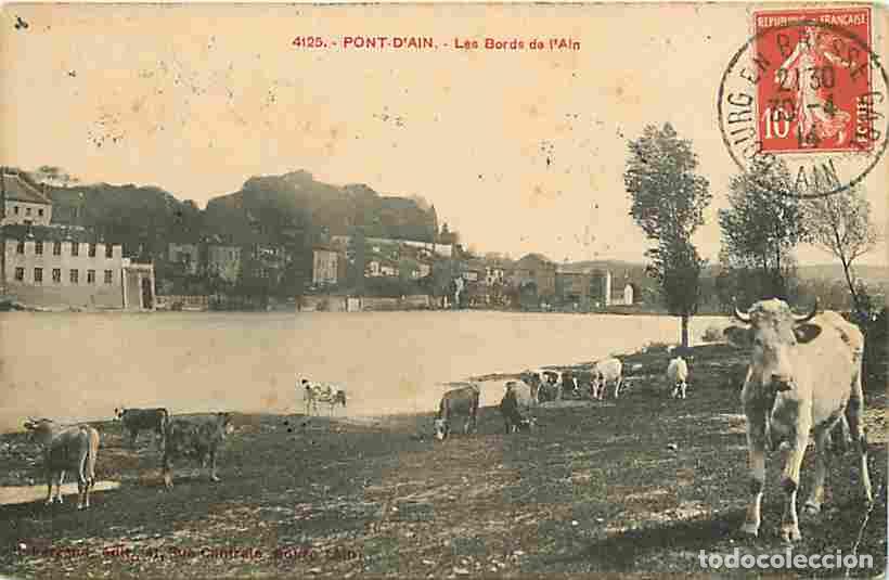 Cartoline: France - 01 - Pont d'Ain - Les Bords de l'Ain - Vaches - Oblit&eacute;ration ronde de 1914 - Etat l&eacute;ger pli